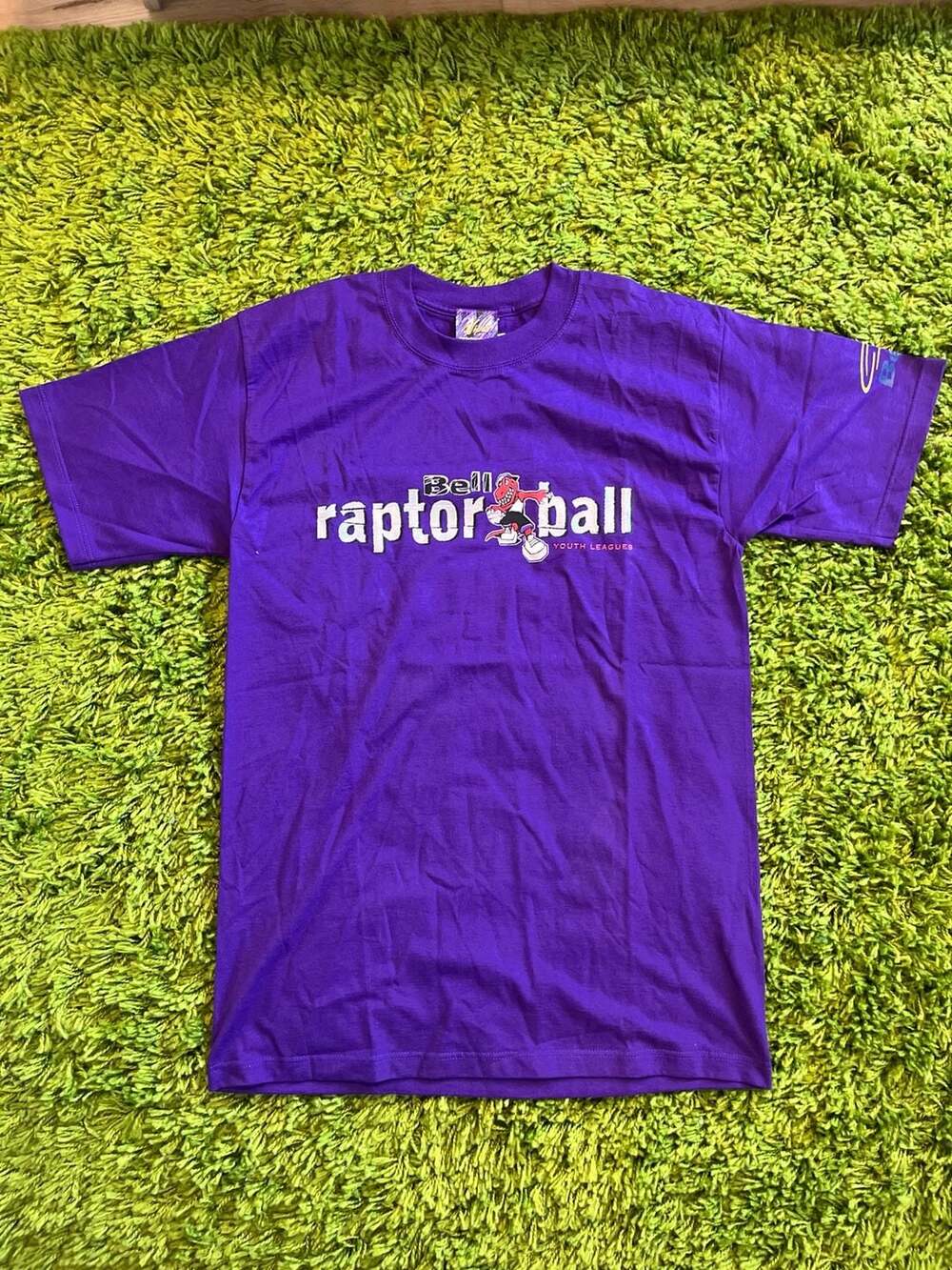 Vintage 90s Bell Raptor Ball Youth Leagues Toronto Raptors Graphic T-Shirt